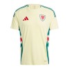 Camiseta de fútbol Gales Segunda Equipación 2024 - Hombre